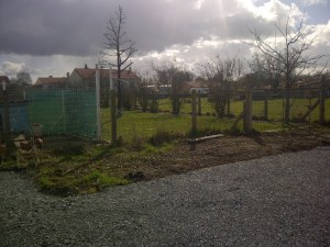 avant-plantation-massif-arbuste-fleurs paysagiste agglo la roche sur yon vendee