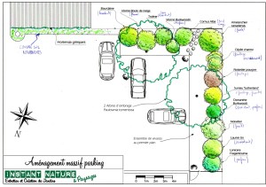 conception plan plantation haie massif paysagiste la roche sur yon agglo vendee