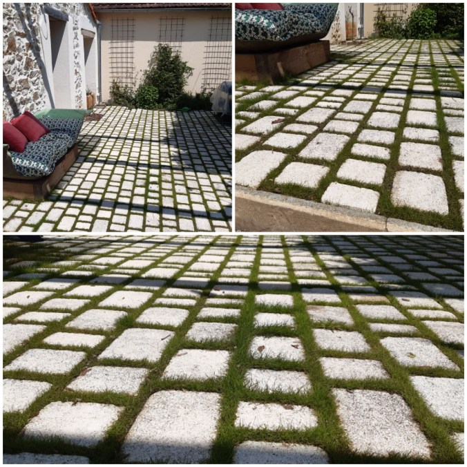 Terrasse pavé enherbé Paysagiste La roche sur yon